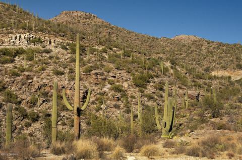 12201 E Quesada, Tucson, AZ 85749 photo 7