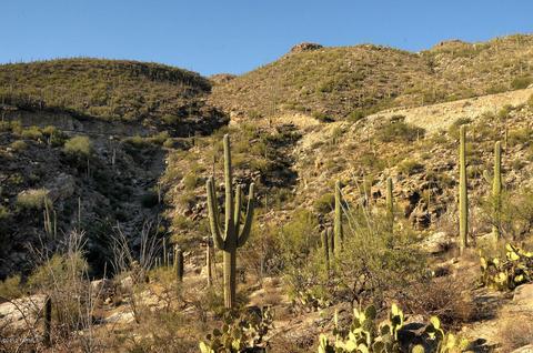 12201 E Quesada, Tucson, AZ 85749 photo 2