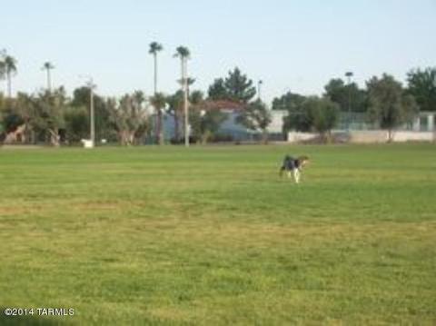 2446 E 2nd St, Tucson, AZ 85719 photo 32