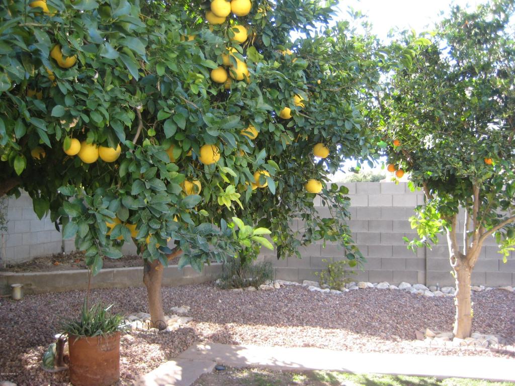 8738 E Getsinger Ln, Tucson, AZ 85747 photo 22