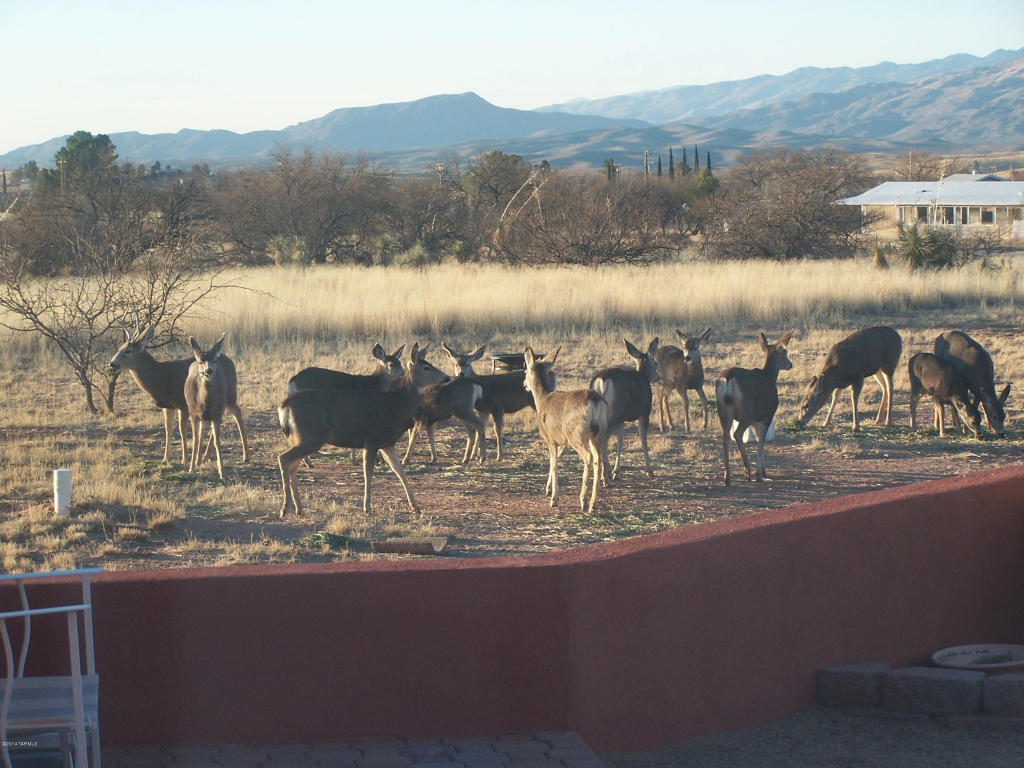 3356 W Thunder Pass Rd, Benson, AZ 85602 photo 6