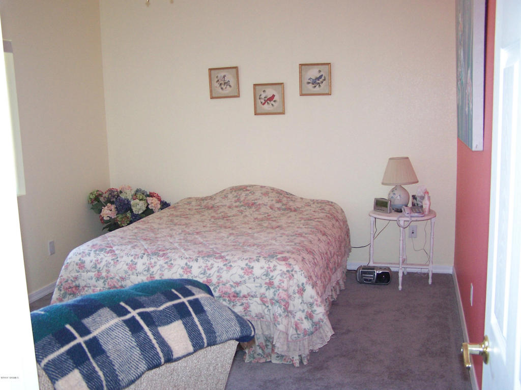 3356 W Thunder Pass Rd, Benson, AZ 85602 photo 16