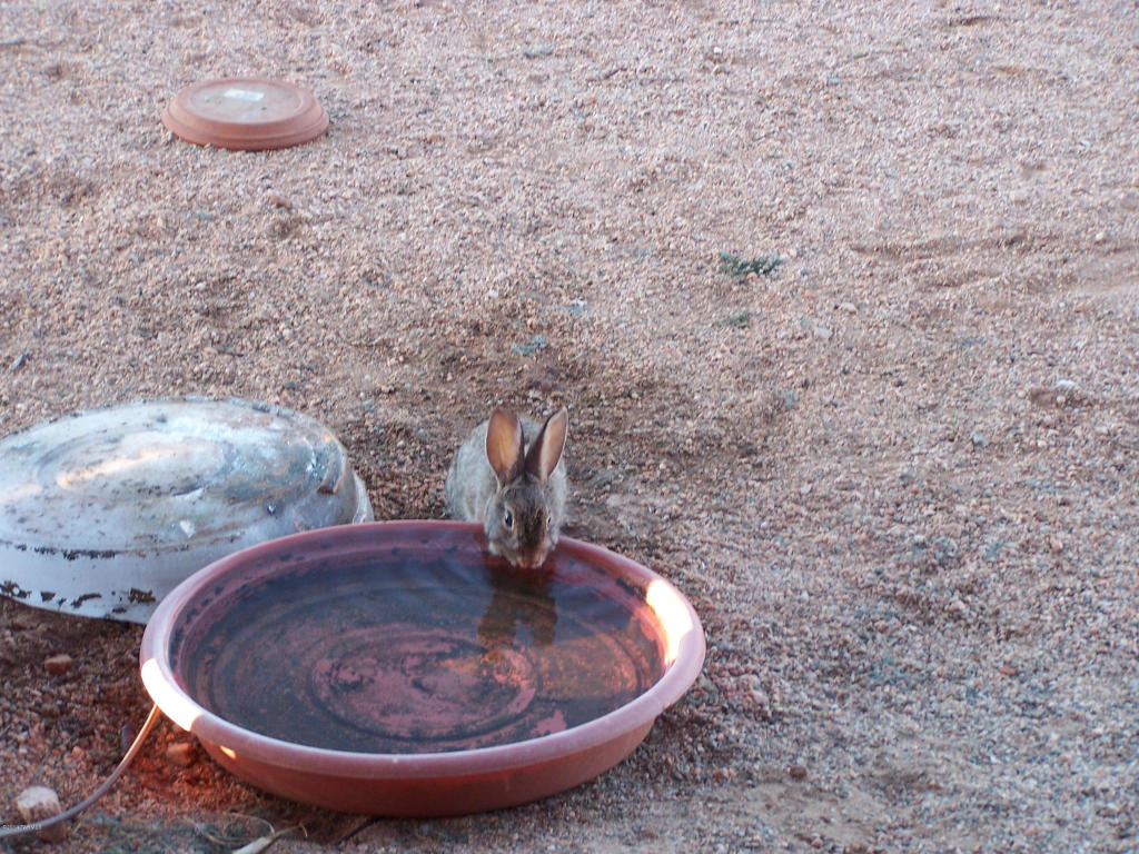 3356 W Thunder Pass Rd, Benson, AZ 85602 photo 7