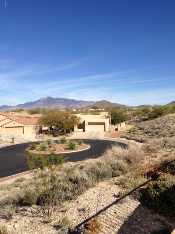 14035 E Fairway Bluff Ct, Vail, AZ 85641 photo 24