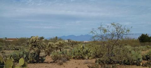 2961 E Shasta Ln #347, Vail, AZ 85641 photo 2