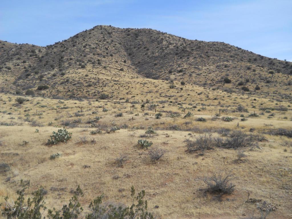 3653 E Sidewinder Rd, Willcox, AZ 85643 photo 12