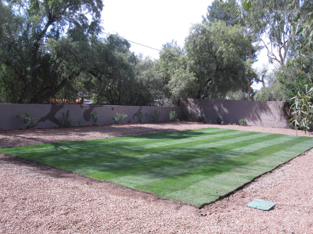 2634 E Devon St, Tucson, AZ 85716 photo 3