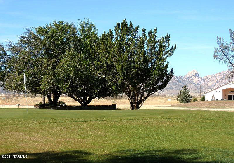 1004 E Geneva St, Pearce, AZ 85625 photo 40