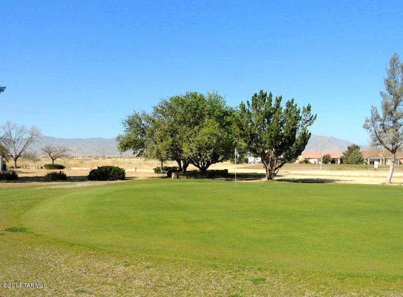 1004 E Geneva St, Pearce, AZ 85625 photo 10