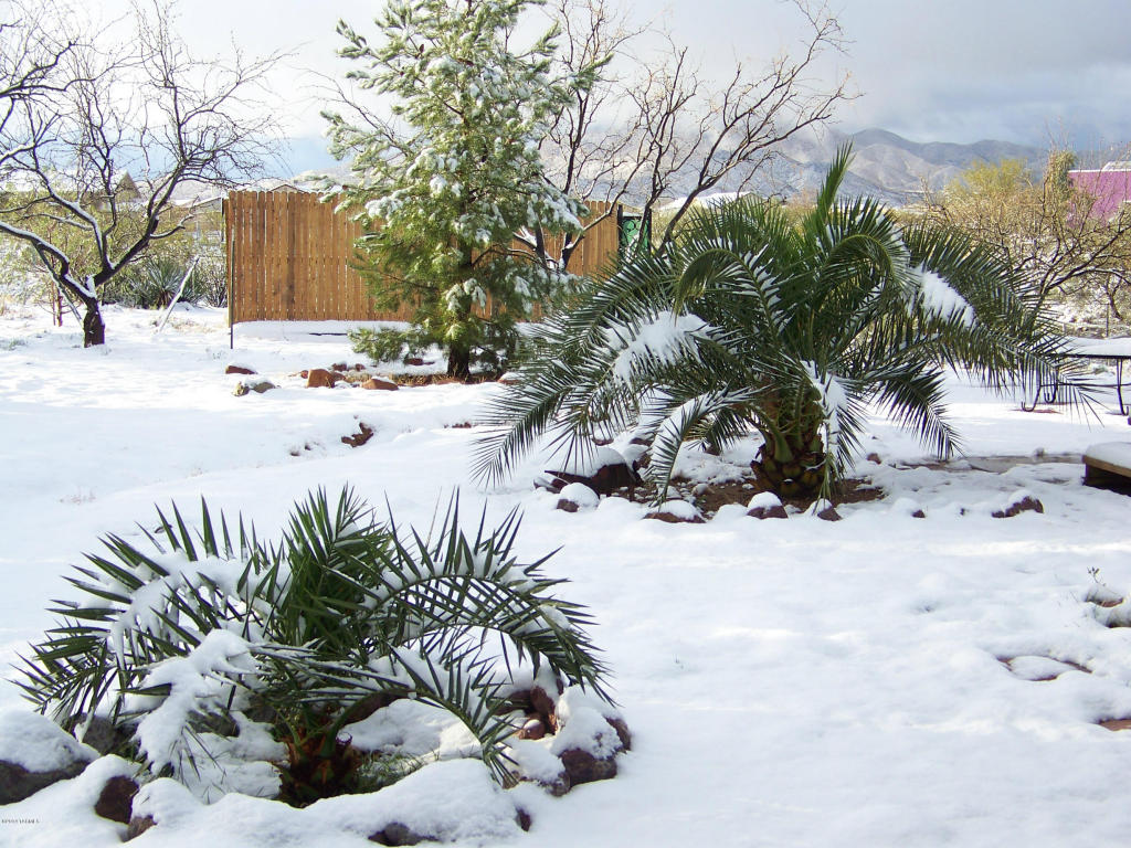3102 E Wiley Ln, Vail, AZ 85641 photo 34