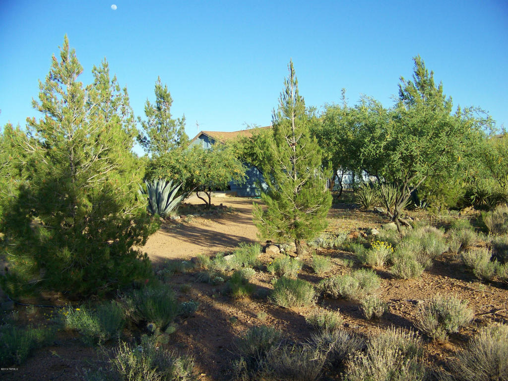 3102 E Wiley Ln, Vail, AZ 85641 photo 37
