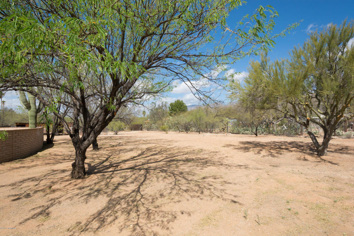 11205 E Limberlost Rd, Tucson, AZ 85749 photo 37