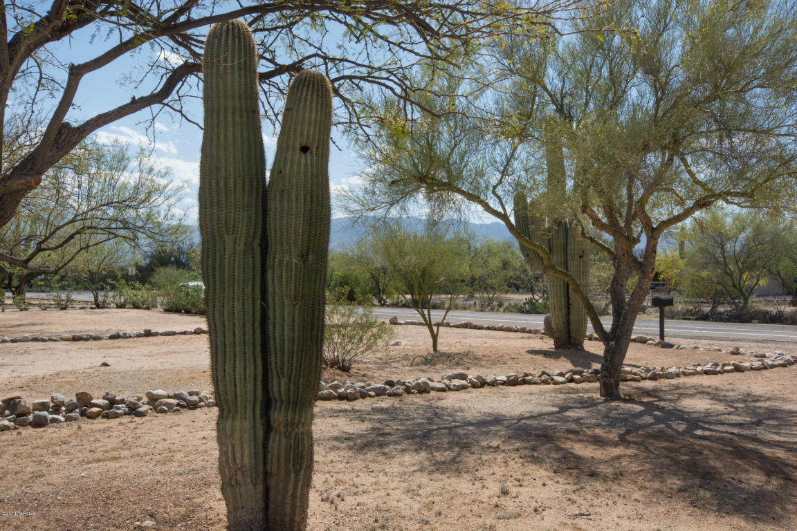 11205 E Limberlost Rd, Tucson, AZ 85749 photo 28