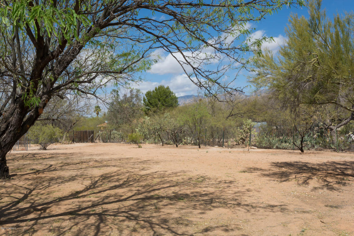 11205 E Limberlost Rd, Tucson, AZ 85749 photo 36