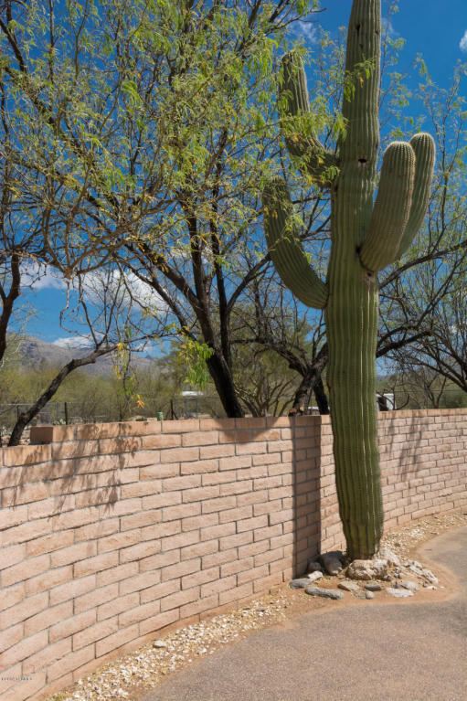 11205 E Limberlost Rd, Tucson, AZ 85749 photo 42