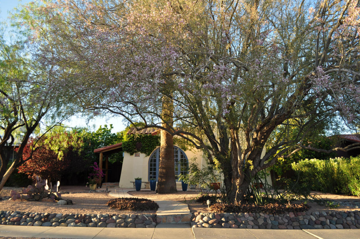 2209 E 3rd St, Tucson, AZ 85719 photo 39