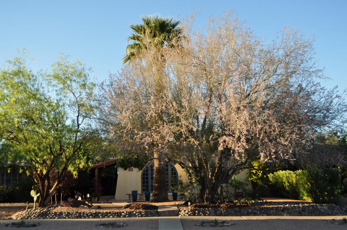 2209 E 3rd St, Tucson, AZ 85719 photo 36