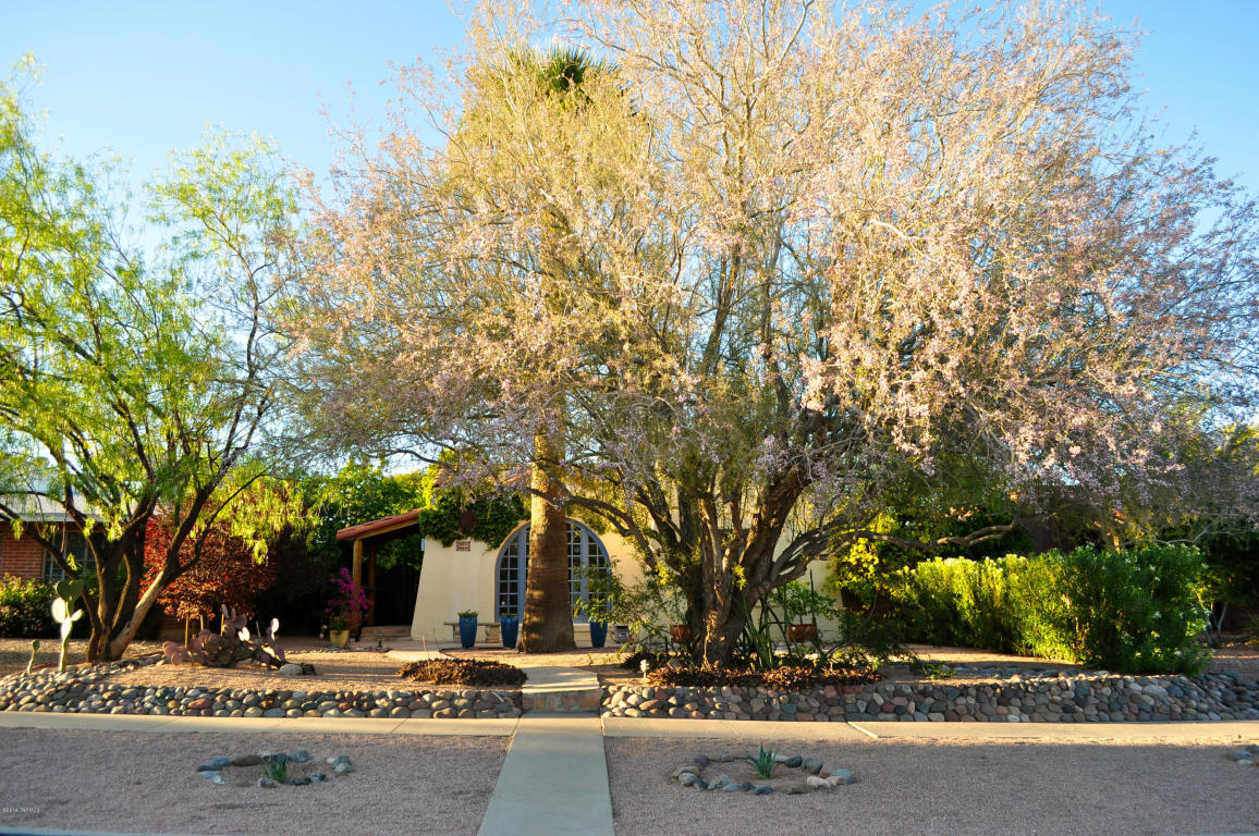 2209 E 3rd St, Tucson, AZ 85719 photo 31