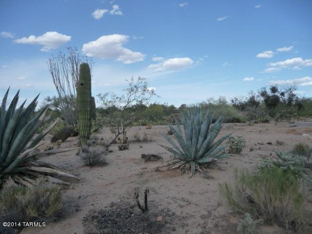 12600 S Cherokee Ln, Tucson, AZ 85736 photo 8