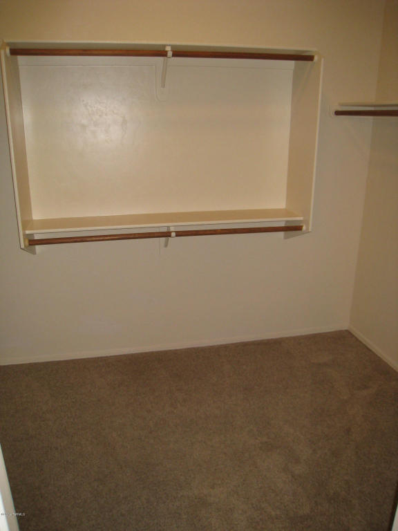 13752 E High Plains Ranch St, Vail, AZ 85641 photo 20