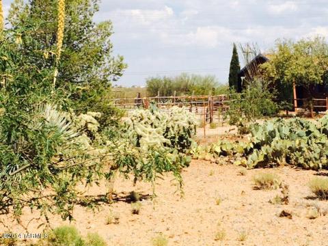 3132 E Wiley Ln, Vail, AZ 85641 photo 5