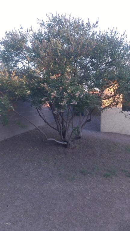 6901 E Nelson Dr, Tucson, AZ 85730 photo 28