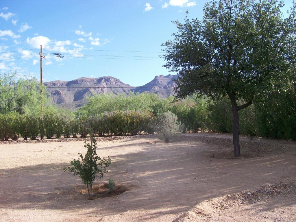 9391 E Walnut Tree Cir, Tucson, AZ 85749 photo 3