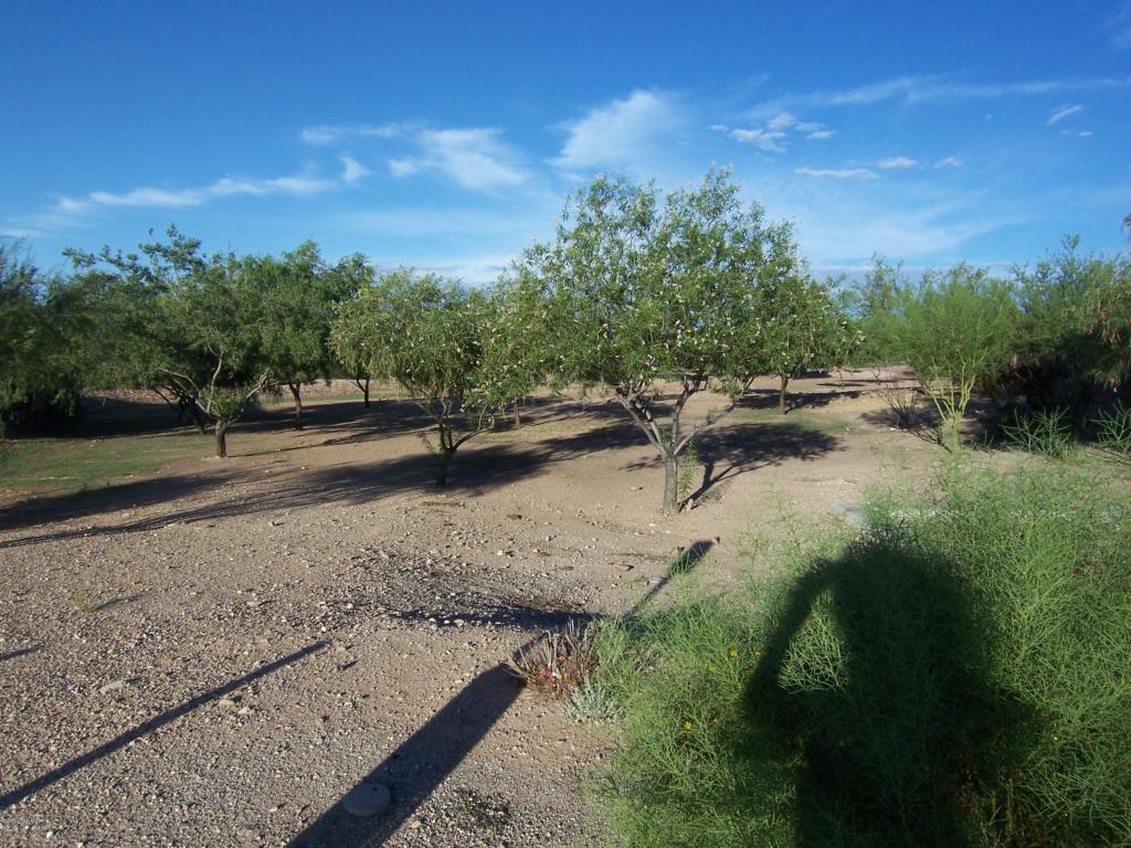 7694 E Fair Meadows Loop, Tucson, AZ 85756 photo 37