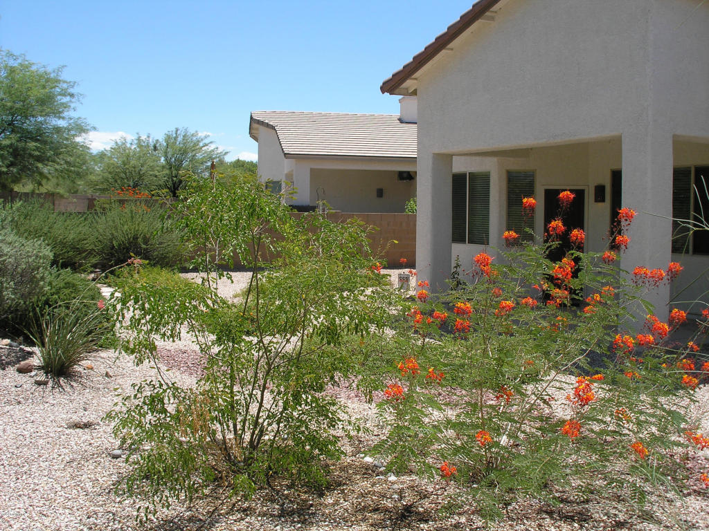 9861 E Wind Dancer Dr, Tucson, AZ 85748 photo 47