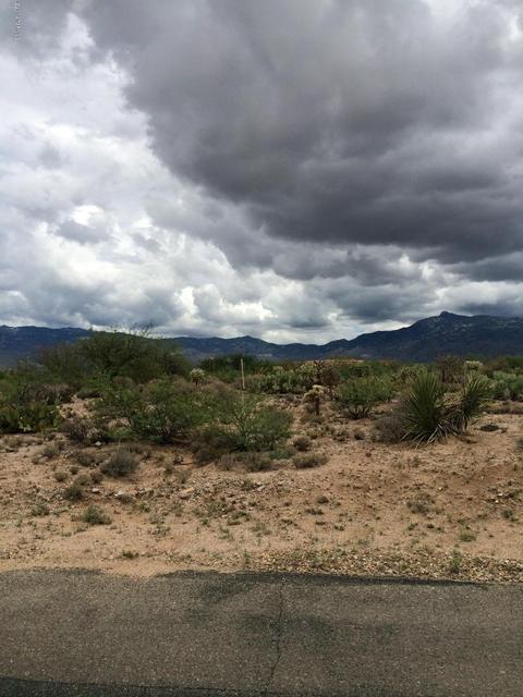 14751 E Triangle M Ranch Rd, Vail, AZ 85641 photo 3