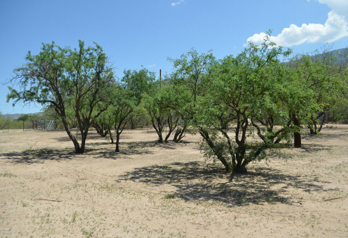 5454 Edwin Rd, Tucson, AZ 85739 photo 17