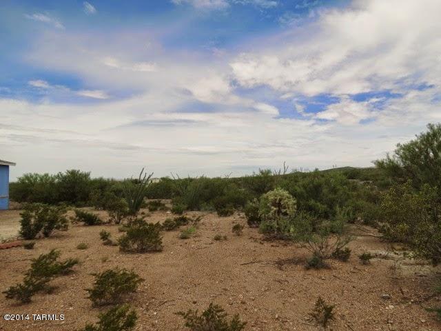 17451 E Zoo Stage Rd, Vail, AZ 85641 photo 30
