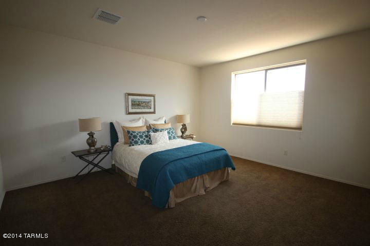 10414 S Painted Mare Dr, Vail, AZ 85641 photo 19