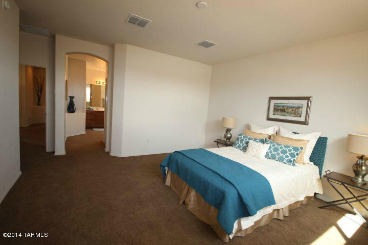 10414 S Painted Mare Dr, Vail, AZ 85641 photo 6