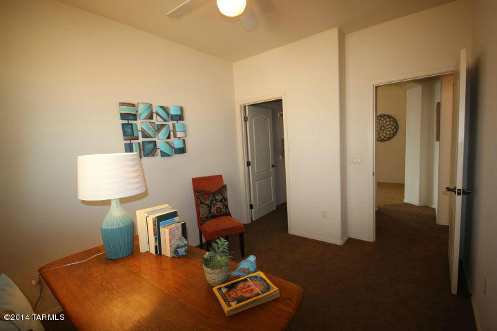 10414 S Painted Mare Dr, Vail, AZ 85641 photo 24