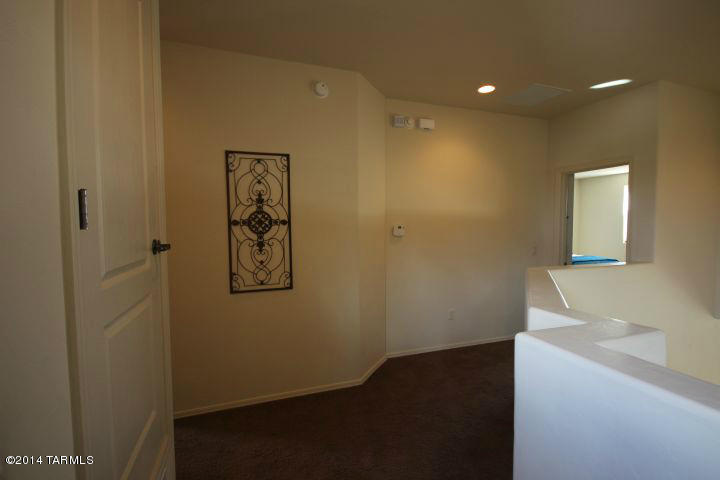 10414 S Painted Mare Dr, Vail, AZ 85641 photo 38