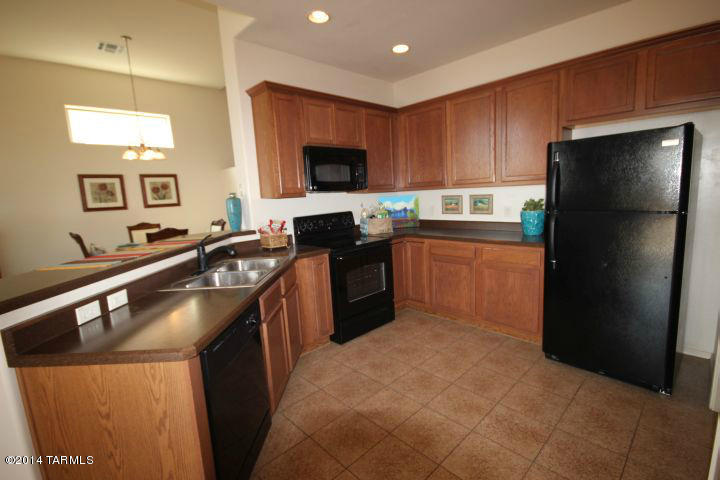 10414 S Painted Mare Dr, Vail, AZ 85641 photo 2