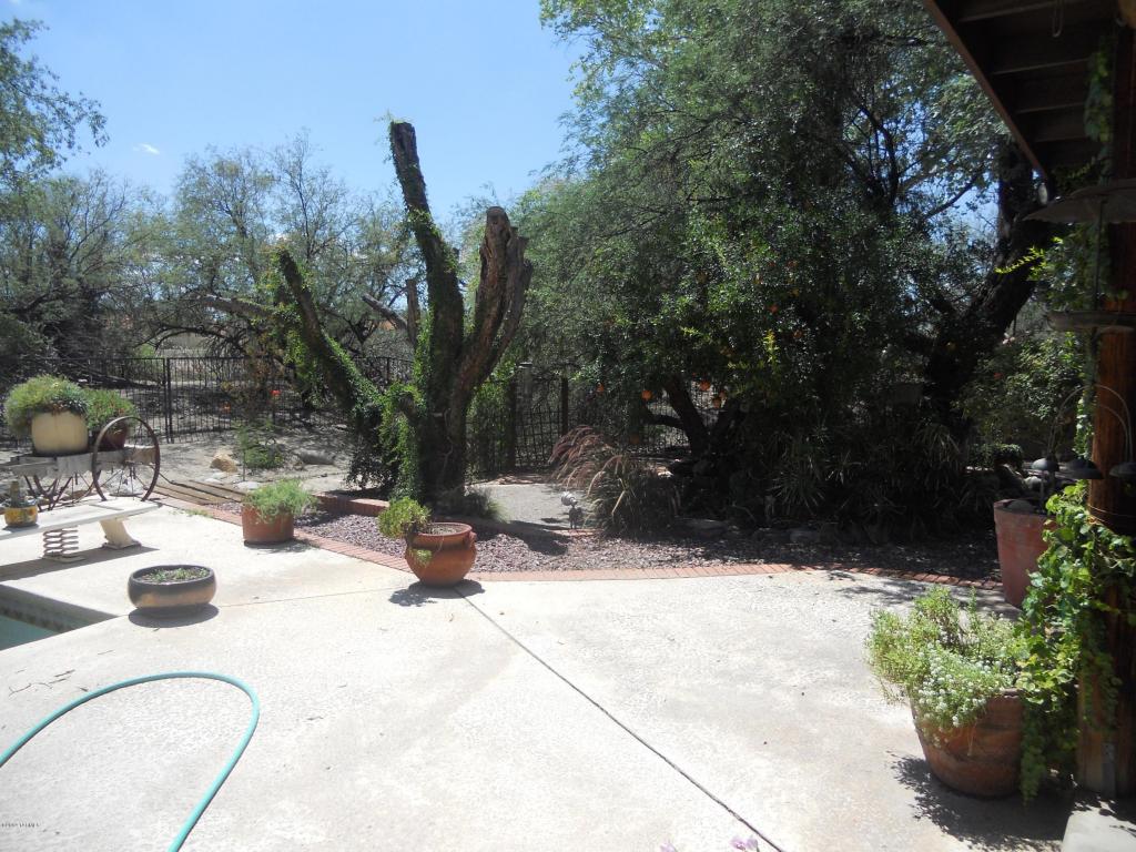 7447 E Cloud Rd, Tucson, AZ 85750 photo 3