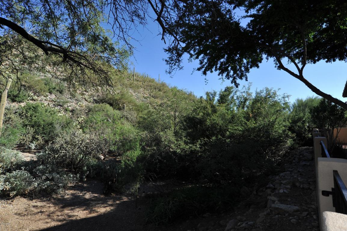 5672 E Circulo Terra, Tucson, AZ 85750 photo 27