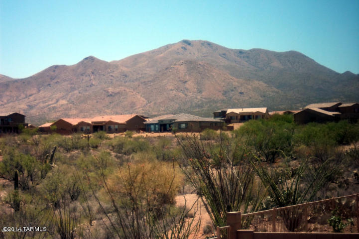 17517 S Garden Sage Loop, Vail, AZ 85641 photo 41