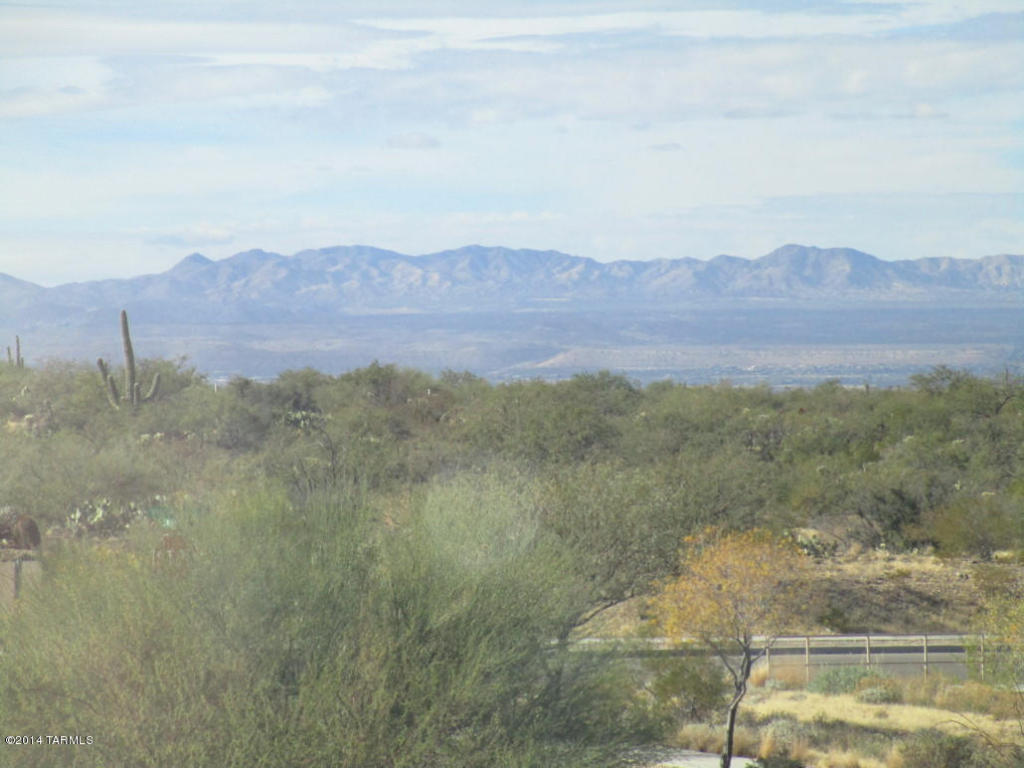 17517 S Garden Sage Loop, Vail, AZ 85641 photo 16