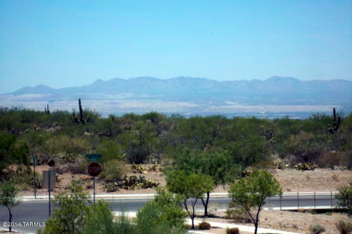 17517 S Garden Sage Loop, Vail, AZ 85641 photo 43