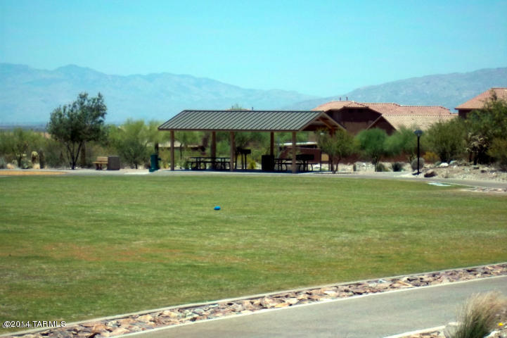 17517 S Garden Sage Loop, Vail, AZ 85641 photo 48