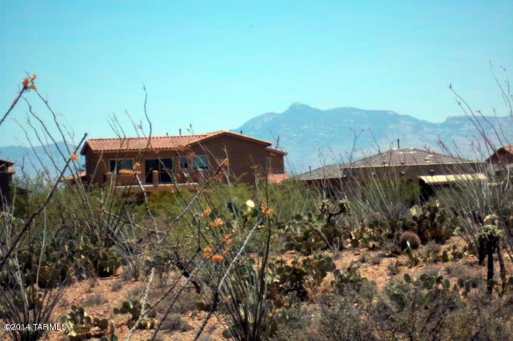 17517 S Garden Sage Loop, Vail, AZ 85641 photo 39