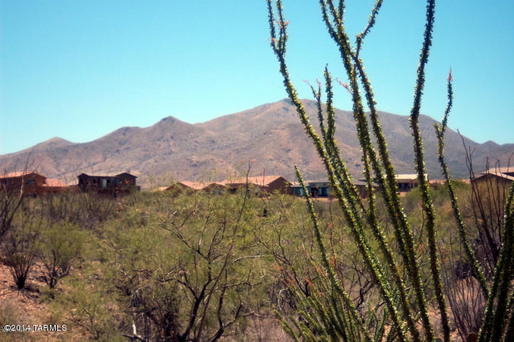 17517 S Garden Sage Loop, Vail, AZ 85641 photo 38