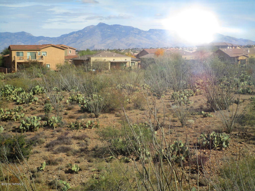 17517 S Garden Sage Loop, Vail, AZ 85641 photo 23