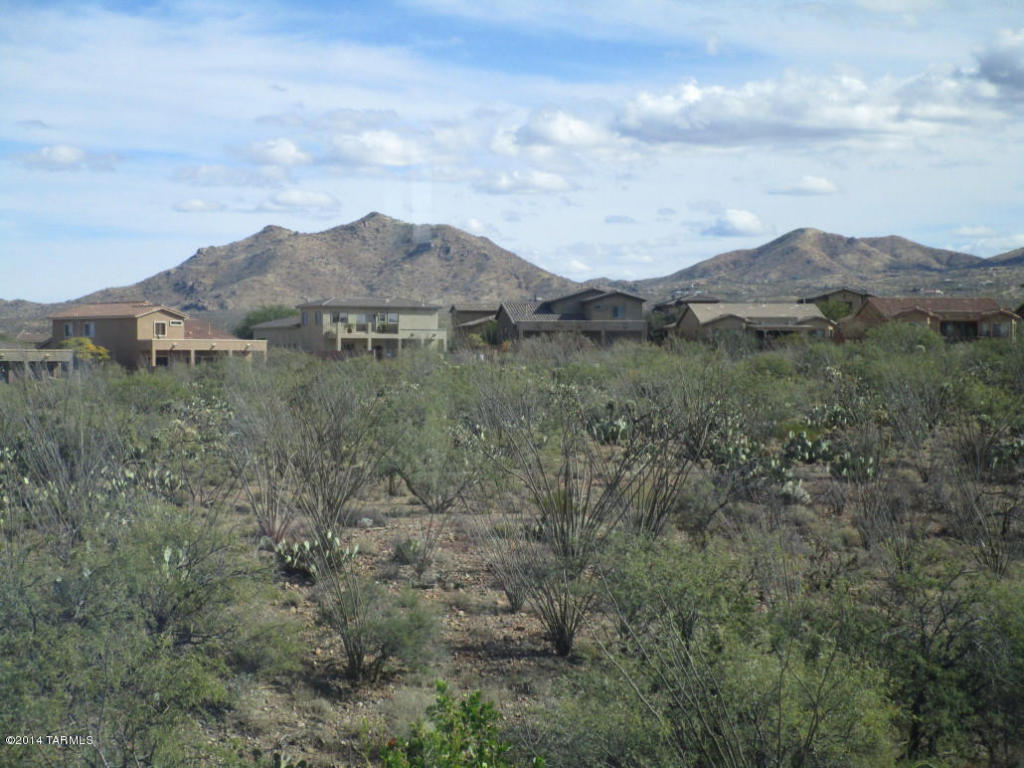 17517 S Garden Sage Loop, Vail, AZ 85641 photo 22