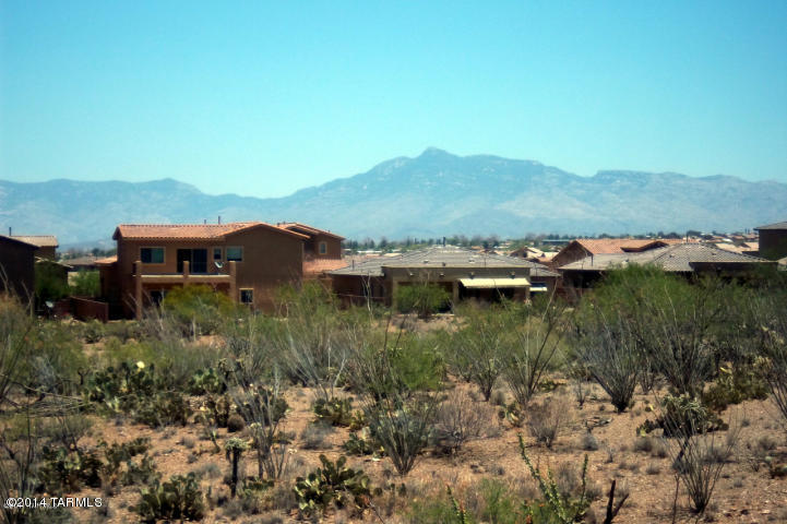 17517 S Garden Sage Loop, Vail, AZ 85641 photo 42