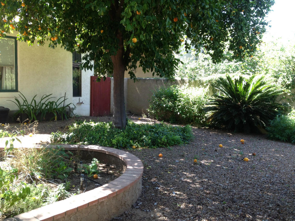 2015 E 4th St, Tucson, AZ 85719 photo 19