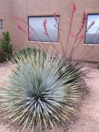 13755 S Galloping Dee Ct, Vail, AZ 85641 photo 25